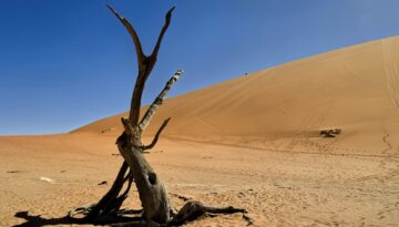 Deadvlie, Sossusvlei sivatag (NA) 2021. 11.
