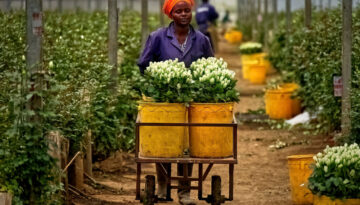 Aquila Farm, Navasha (KE) 2023. 02.